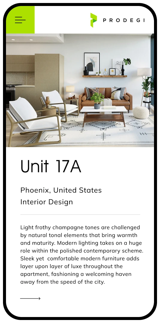 Website Design - Prodegi Device